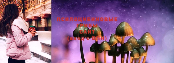 PSILOCYBIN Няндома