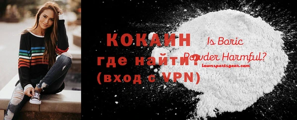 PSILOCYBIN Няндома