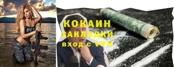 PSILOCYBIN Няндома