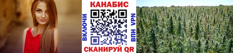 цена   omg как войти  Канабис индика  shop какой сайт  Правдинск 